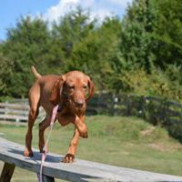 Walking the boardwalk