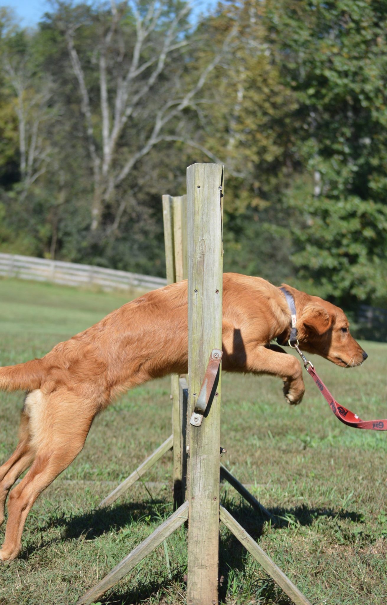 Teaching “jump” the hurdle