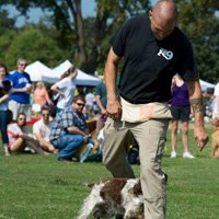 Teaching your dog to “spin” and “weave”