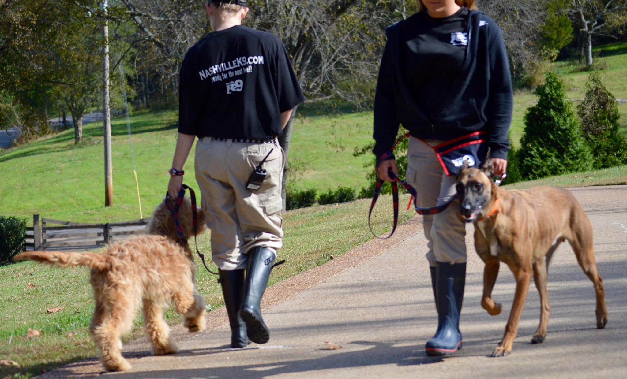 Leash aggression towards other dog