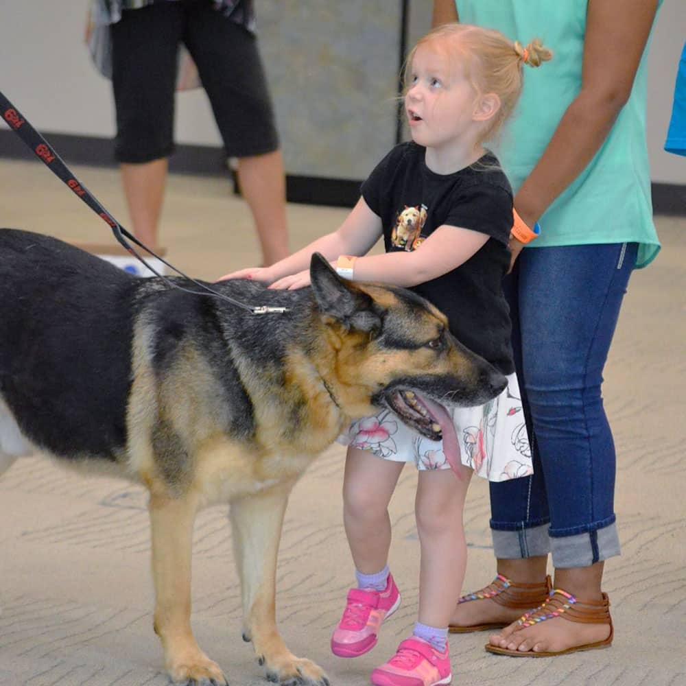 Acclimating new dogs to children