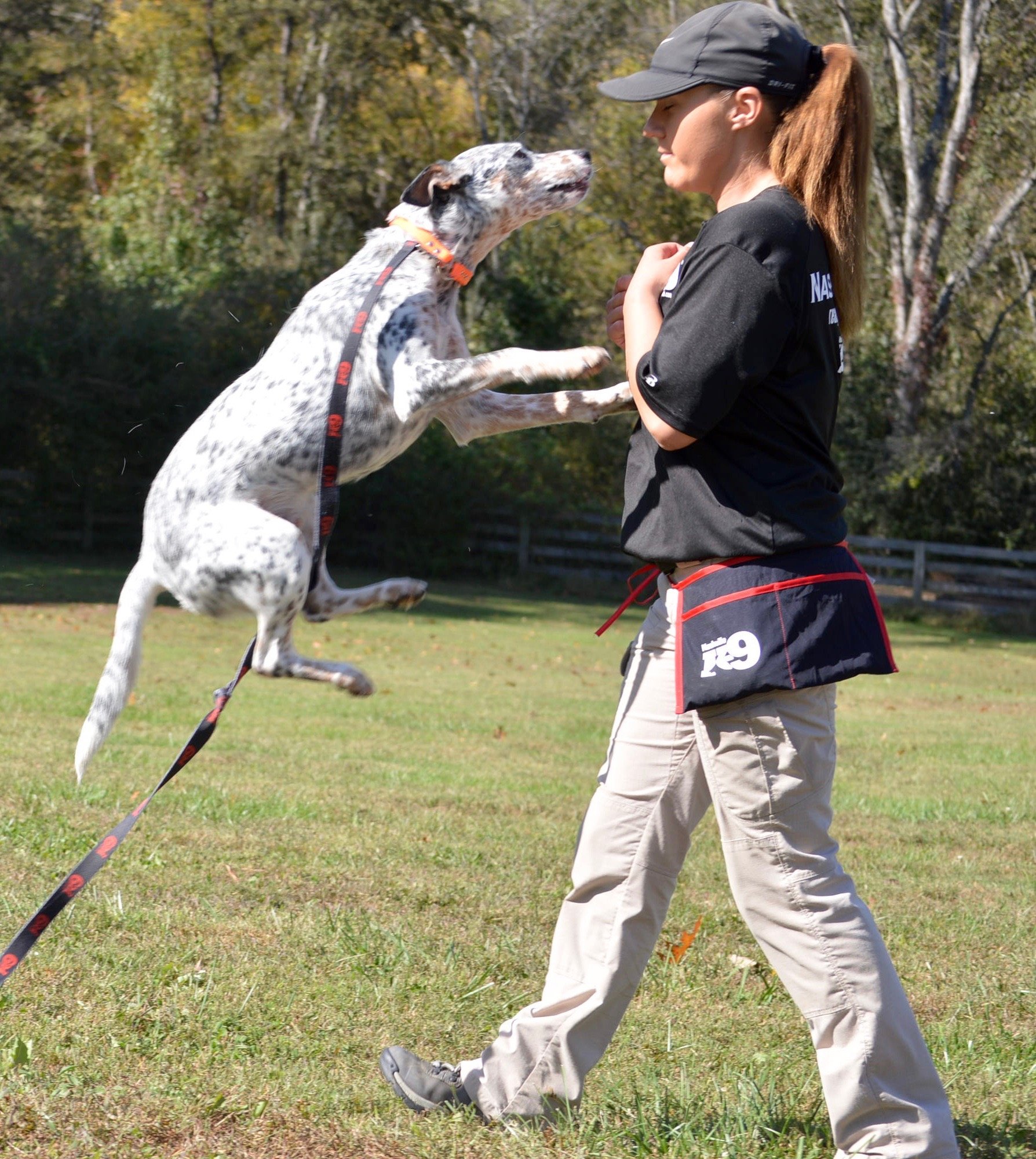 How to stop your dog from jumping on people part 2