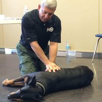 Pet First Aid Part 1