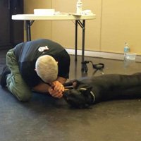 Pet First Aid Part 3