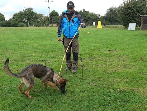 Tracking Scent pad