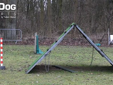 A-Frame- 2 poles