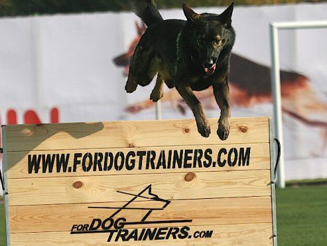 Jumping Technique