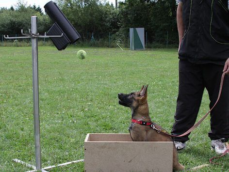 Send away with ball machine