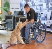 Prepare your dog for a change after a medical issue or pregnancy