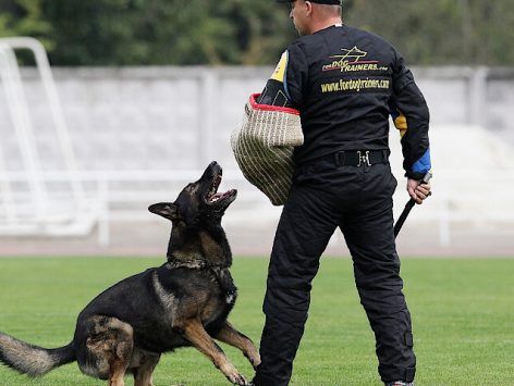 Protection Out