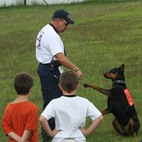 Teaching your dog to shake hands / paw