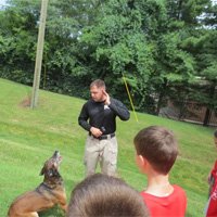 Parlor tricks: Teaching your dog how to count