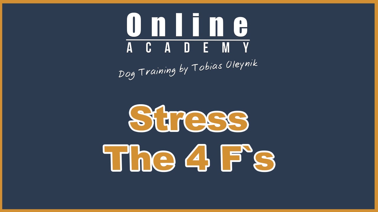 Stress - the 4 F`s