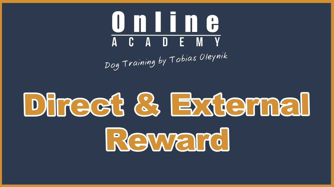 Direct & External reward
