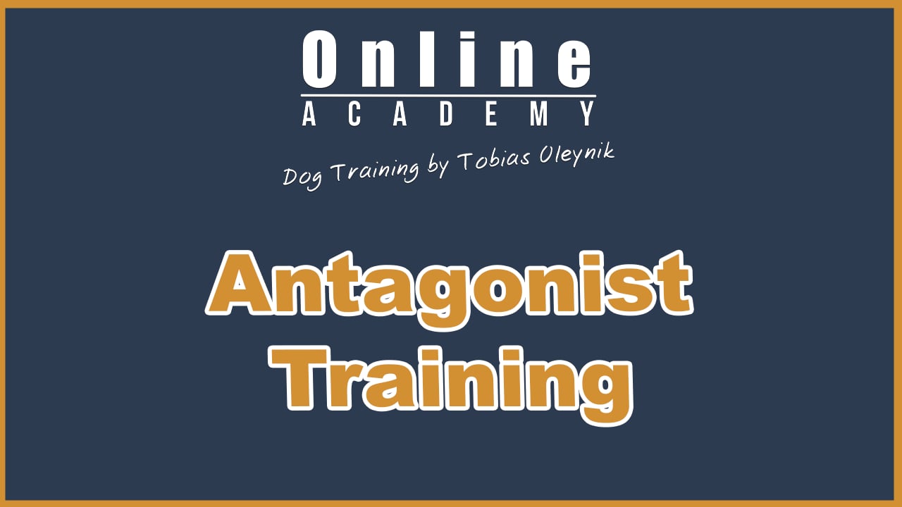 Antagonist Training (Opposing commands)