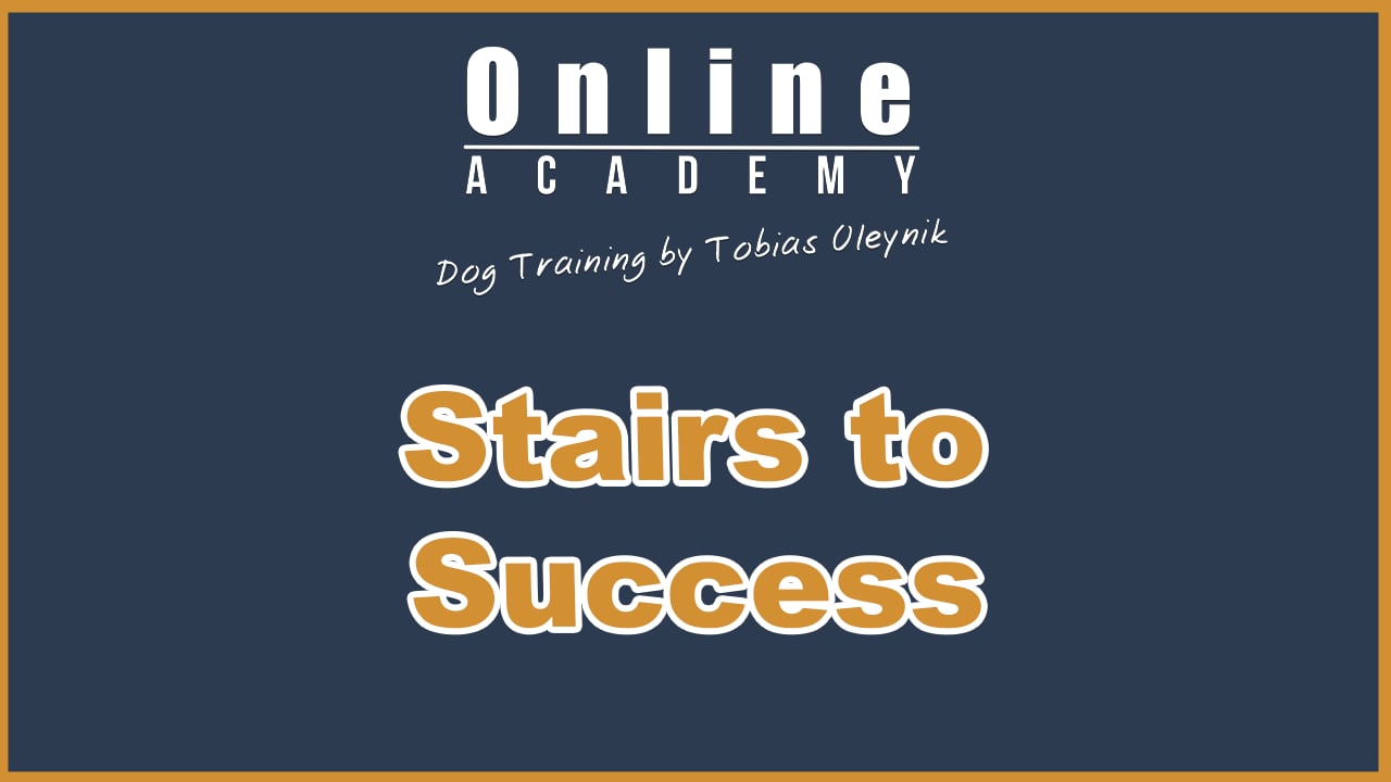Stairs to success