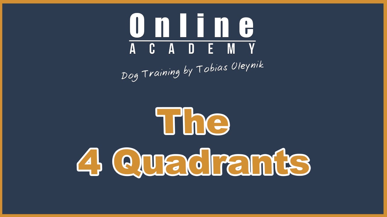 The 4 Quadrants