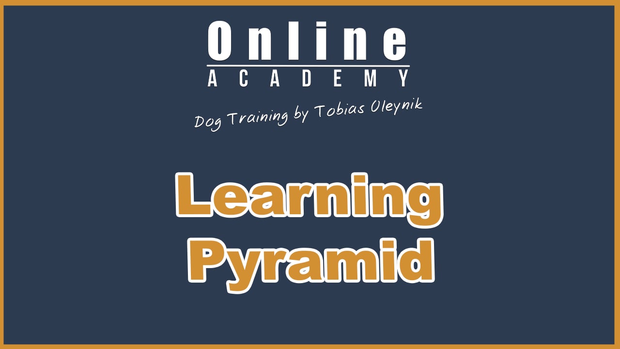 Learning pyramid