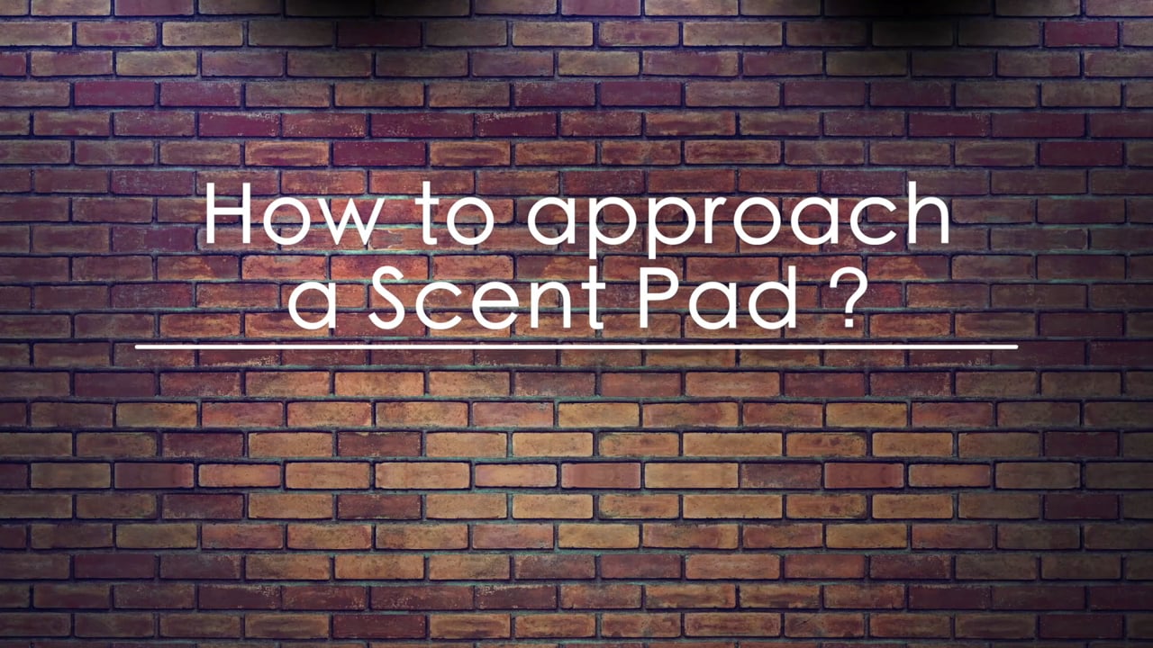 How to approach a scent pad
