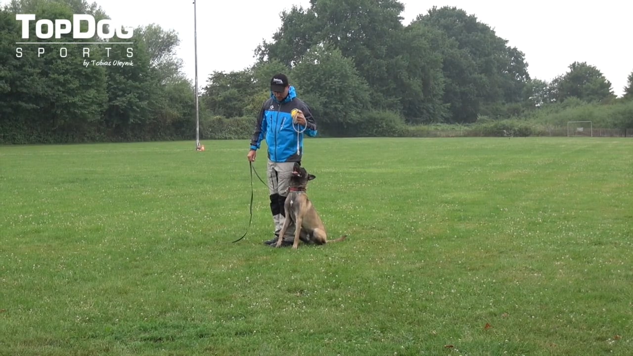 Motor Skill #3 - Follow the Ball-Heeling