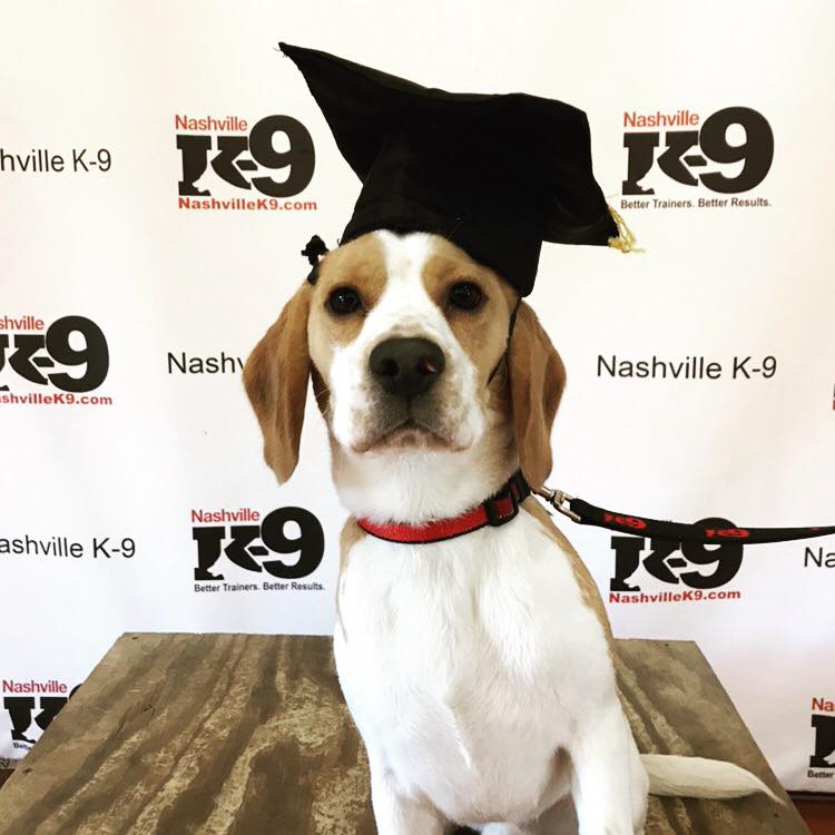 How to use this site