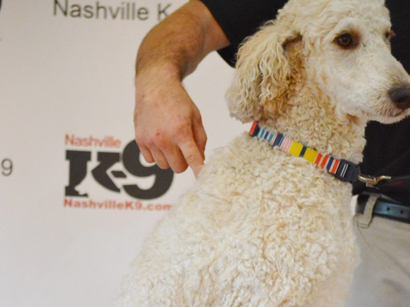 Tactile Commands: overview