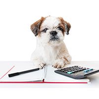 Investigate and research the breed of your future dog