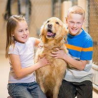 Dog Adoption: Rescue dogs and what to expect