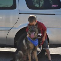 Building a bond with your dog Part 5