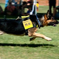 Determining your energy level while training