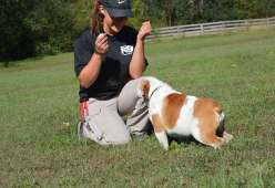 Understanding the “learn to earn” system