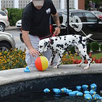 Heavy environmental stimuli and how to practice