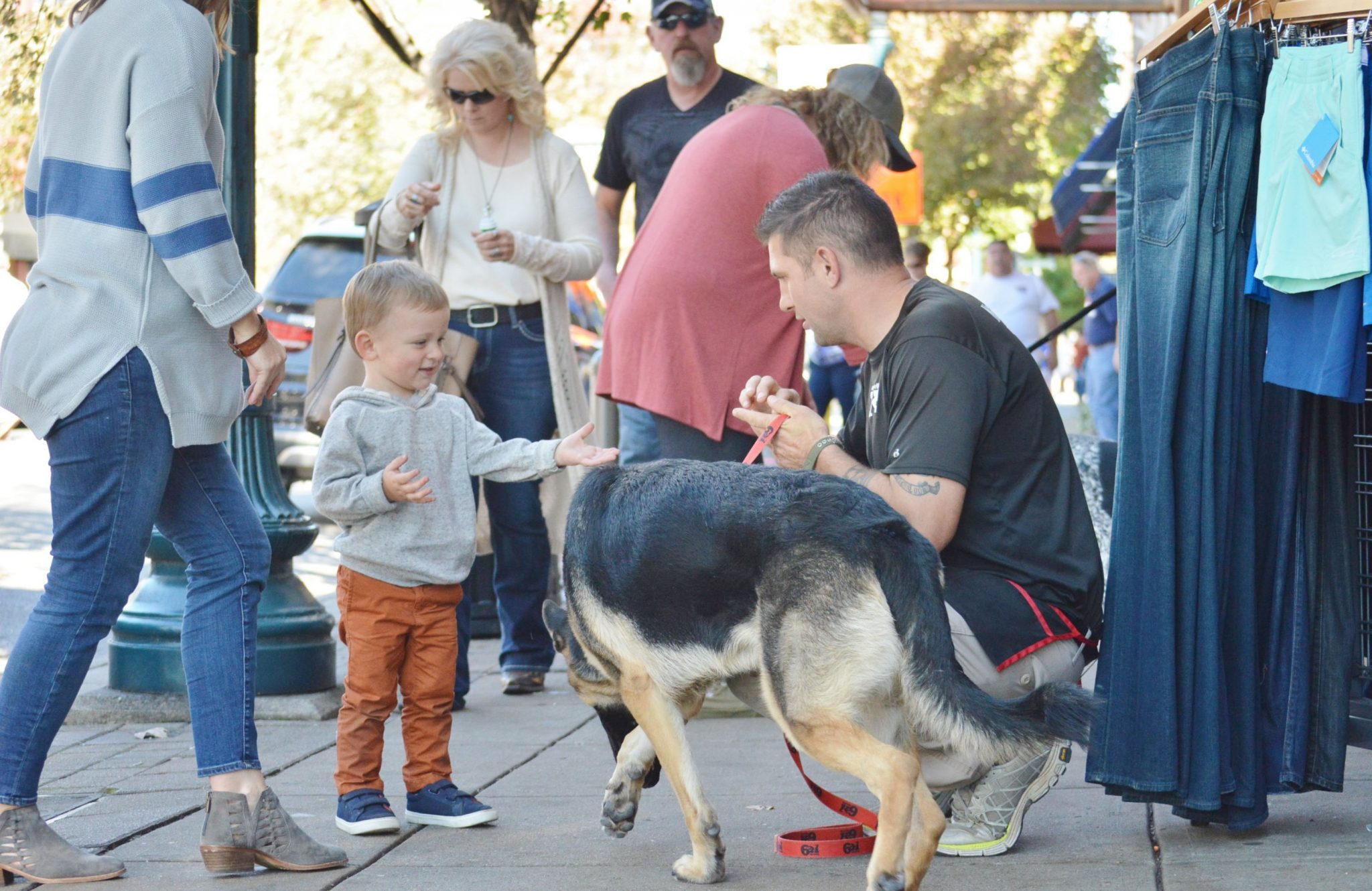 Taking your dogs to different places: into town