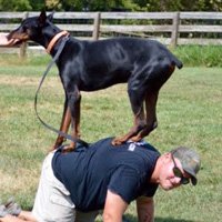 Operant Conditioning (the human understanding)