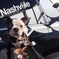 Understanding Classical Conditioning