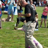 Successive Approximation, understanding Skinner’s theory