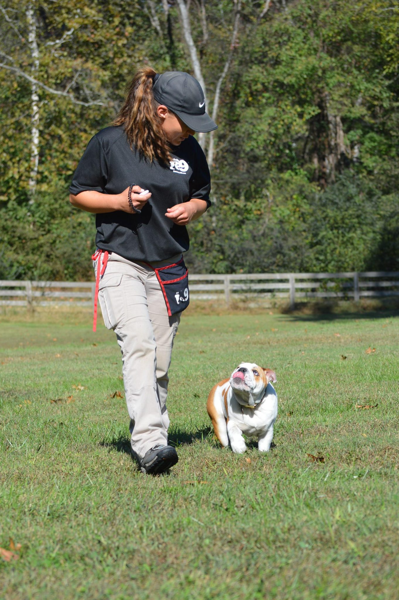 Shaping your dog’s behavior