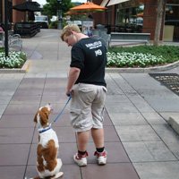 Shaping your dog into a training position