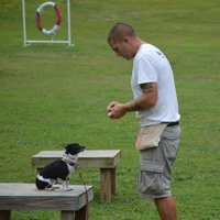 Repetition of Commands