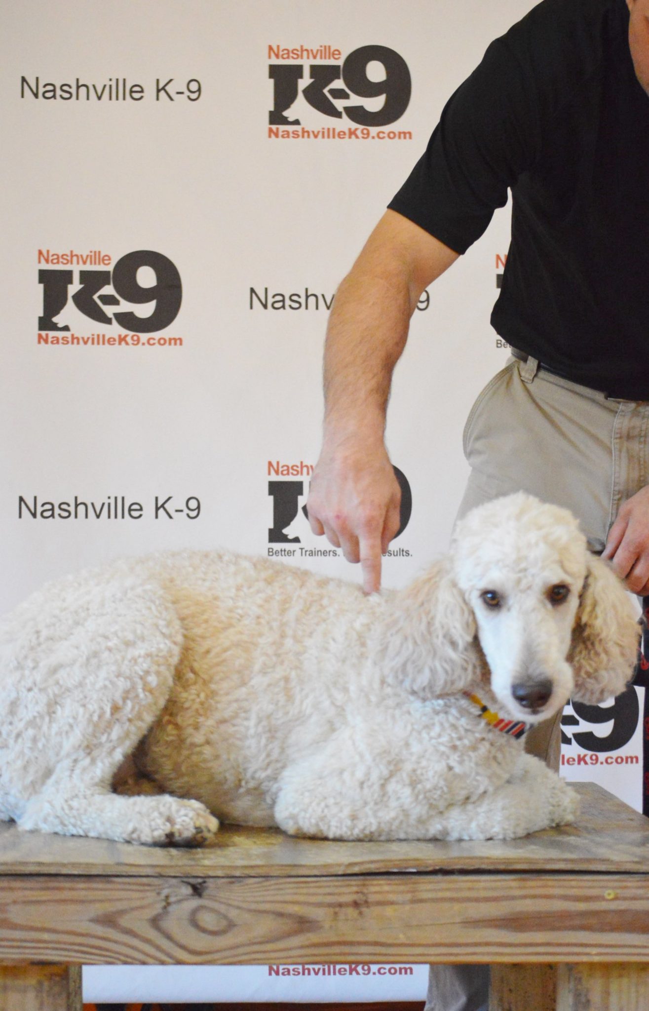 Understanding Tactile Commands