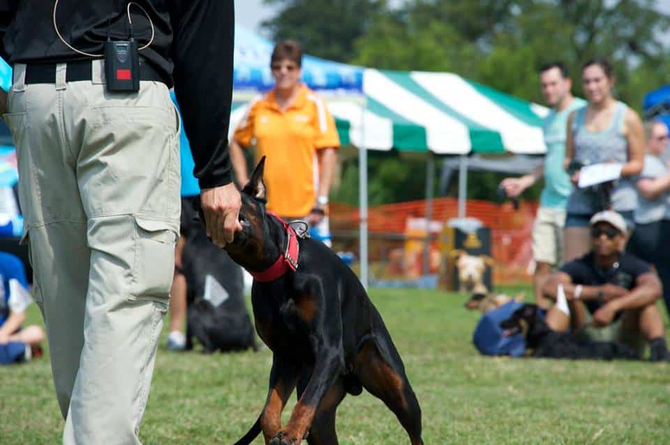 Getting more advanced