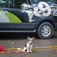 Long sits, long downs, and recall