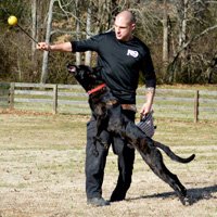 Training under drive using a ball