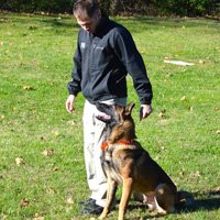 Going through the motions and sequences